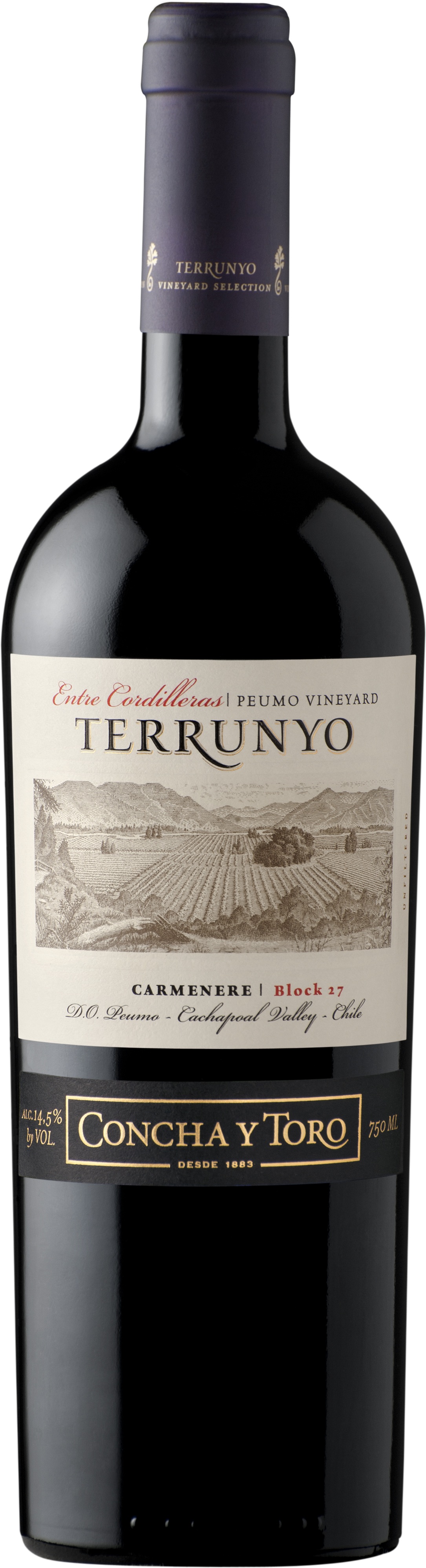 Banfi vintners terrunyo carmenere concha y toro 750ml /6 (082734309147)